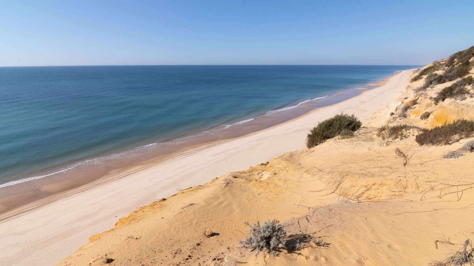 Playa El Asperillo en el Espacio Natural de Doñana, Huelva. | Magnific