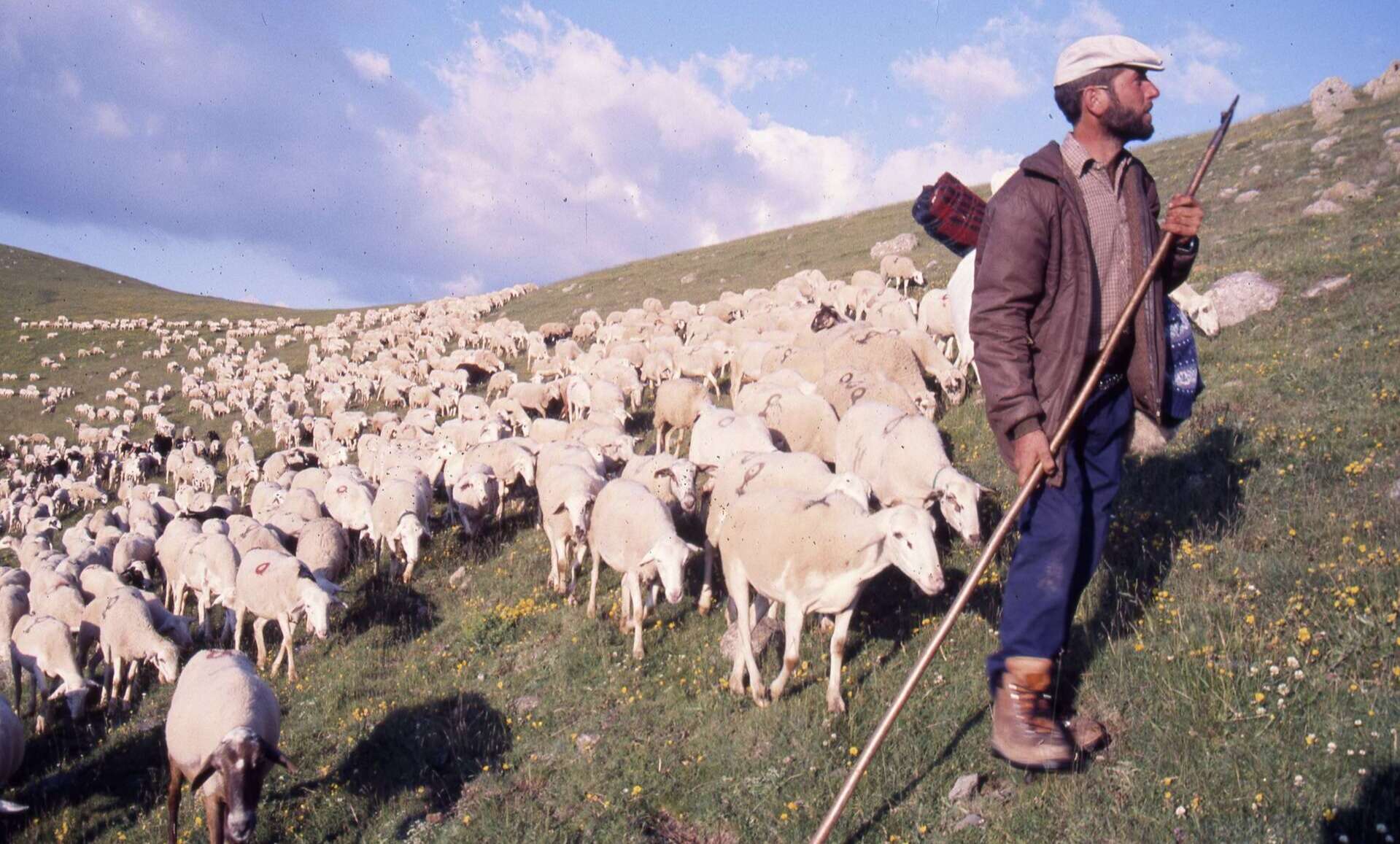 La trashumancia en el Pirineo. | Eugenio Monesma