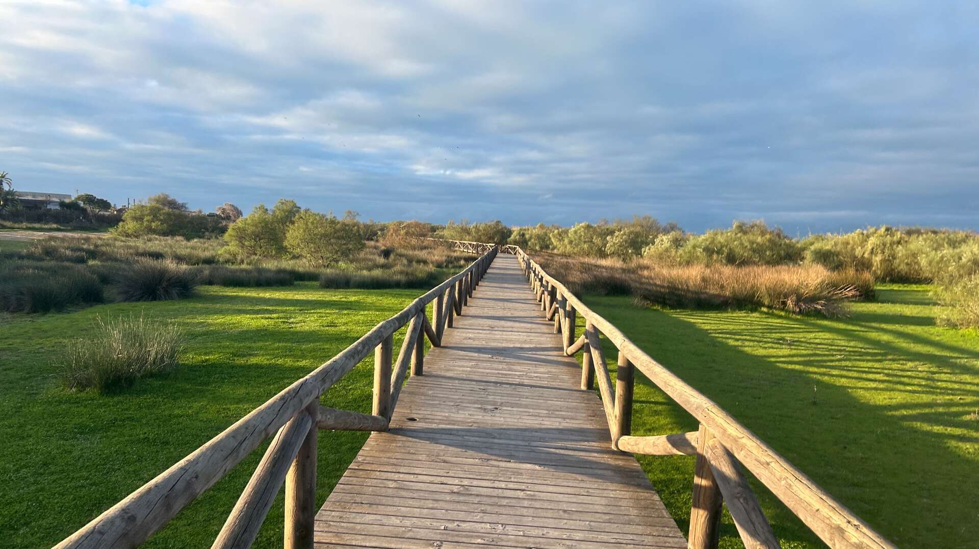 Corredor Verde de Costa Ballena, Chipiona, Cádiz. | Shutterstock
