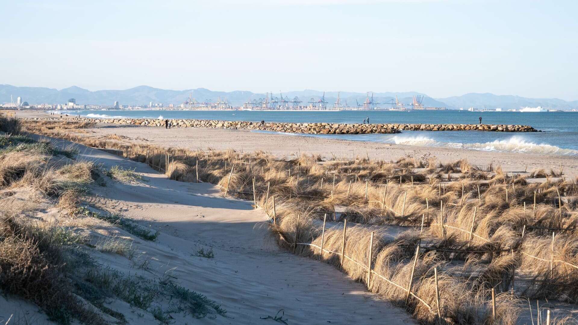 Playa de La Devesa del Saler. | Shutterstock