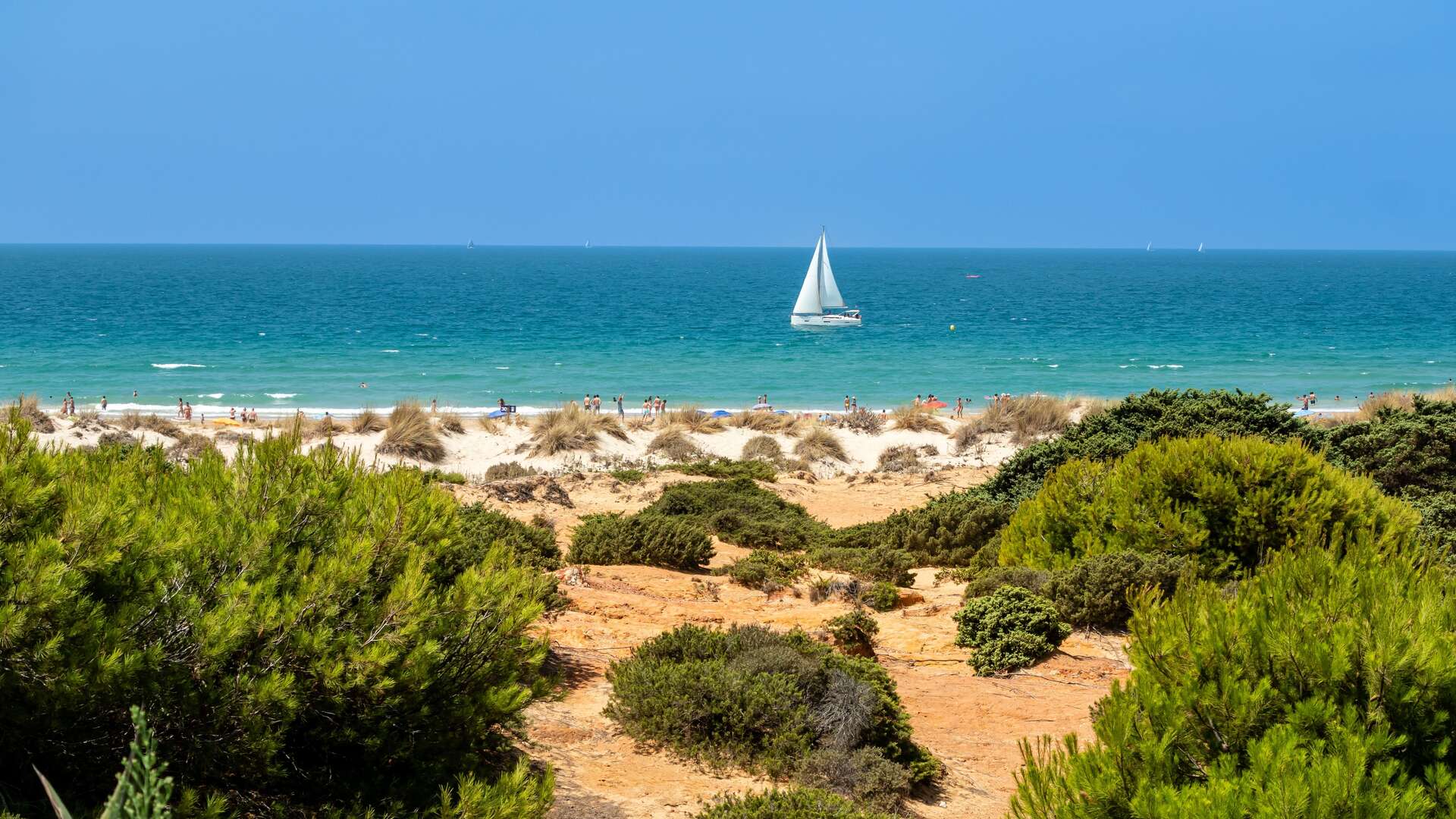Playa La Barrosa en Cádiz. | Shutterstock