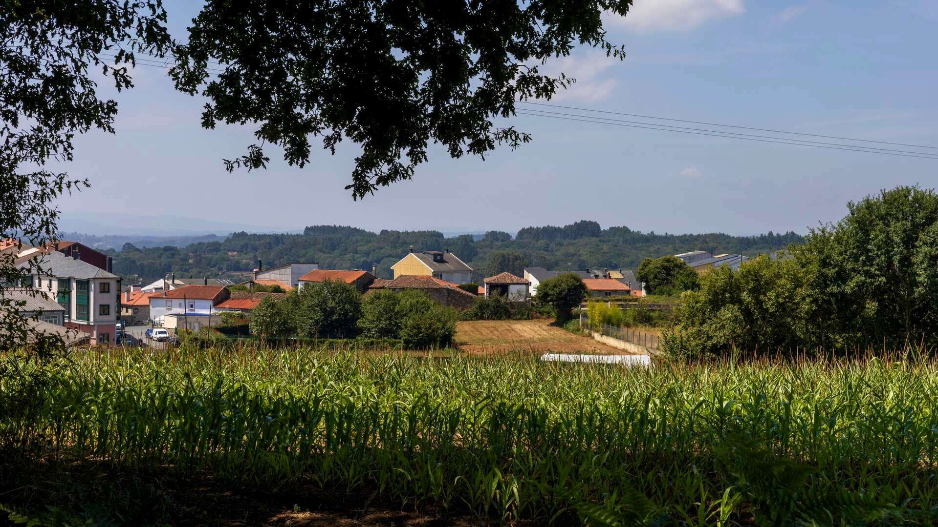Naturaleza  y edificios en Palas de Rei a lo largo del Camino de Santiago en Galicia. | Shutterstock