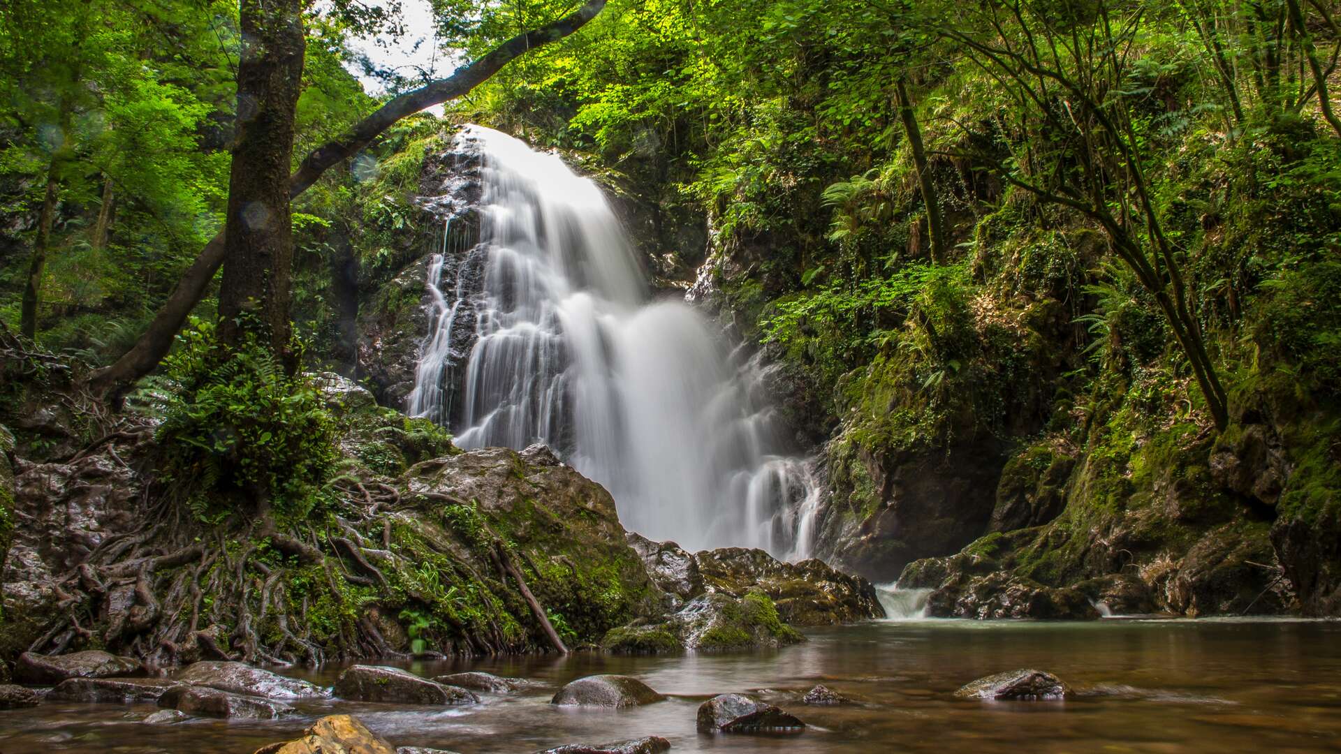 Cascada de Xorroxin, Navarra. | Shutterstock