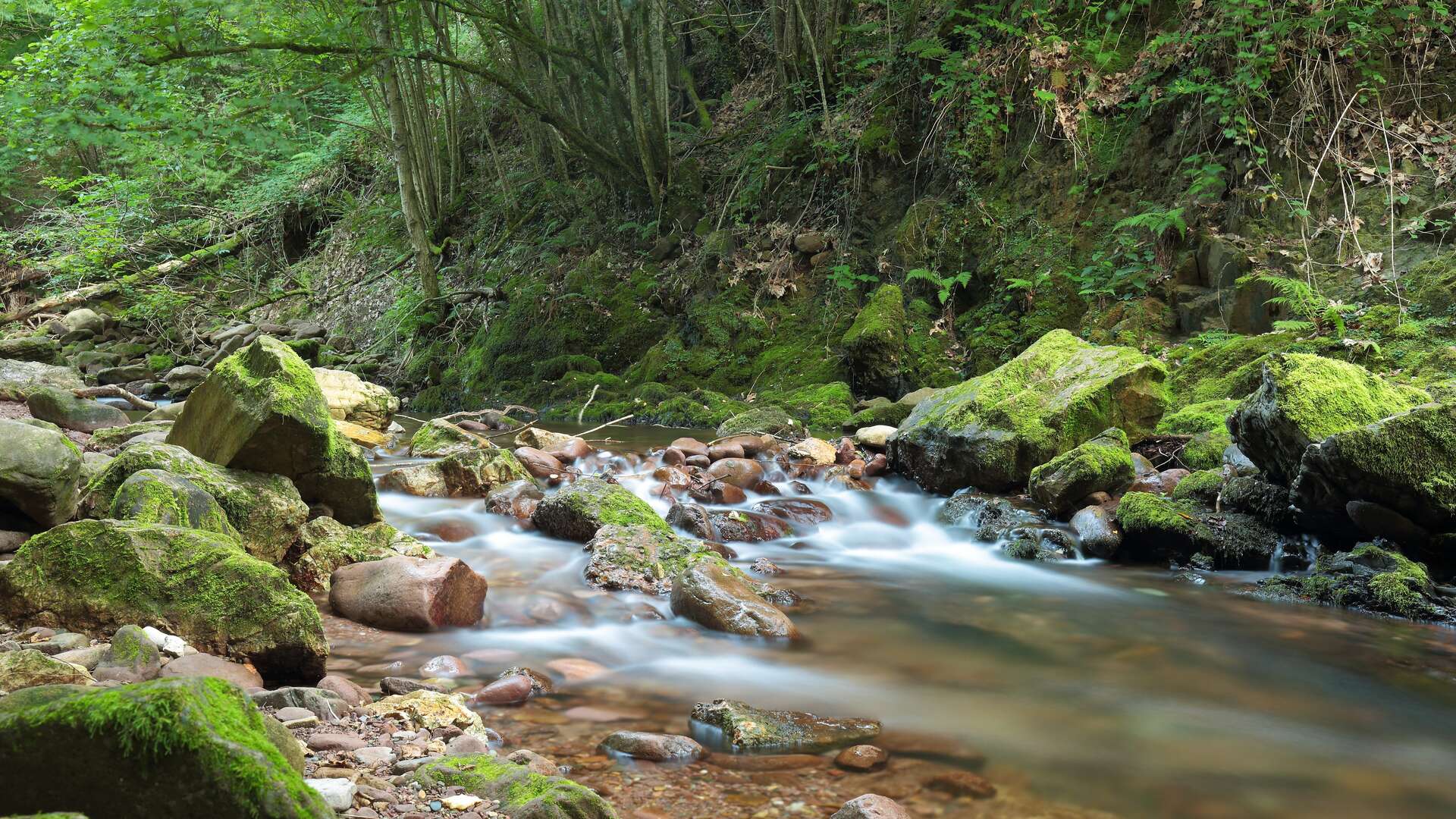 Río Erratzu, Navarra. | Dreamstime