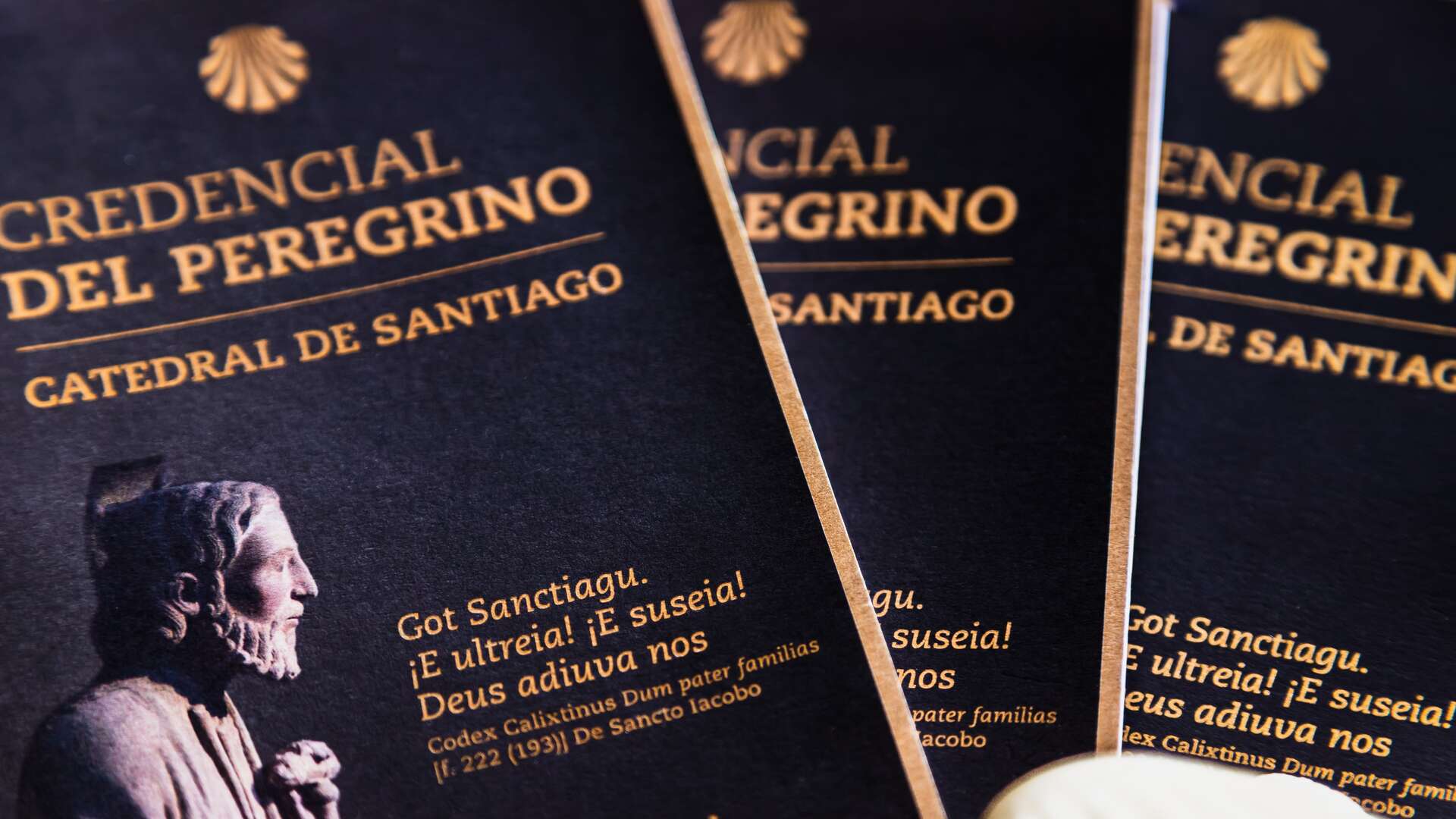 Credencial del peregrino. | Dreamstime