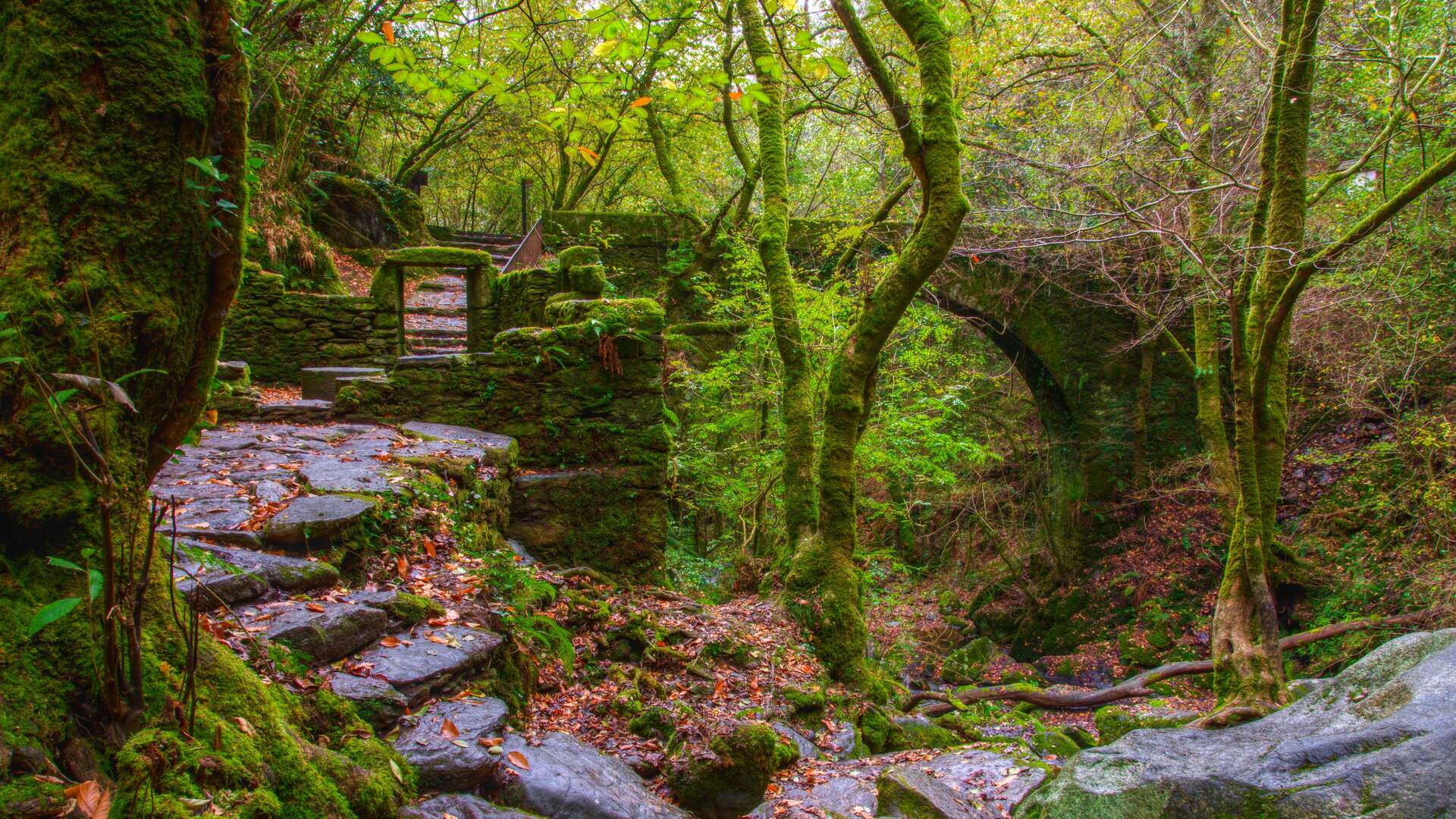 Ruinas antiguas en el bosque de Fragas do Eume, Galicia. | Shutterstock