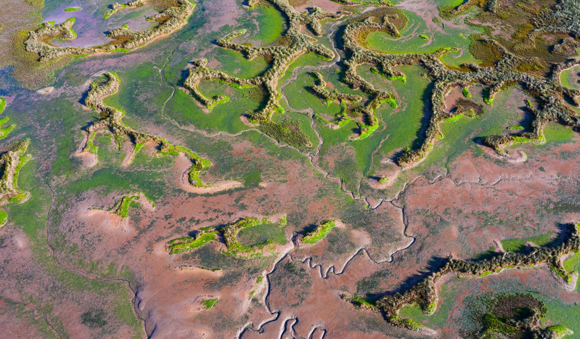 Vista aérea en la baja marea del río Escudo y del pantano de Rubin en el Parque Natural de Oyambre. | Shutterstock
