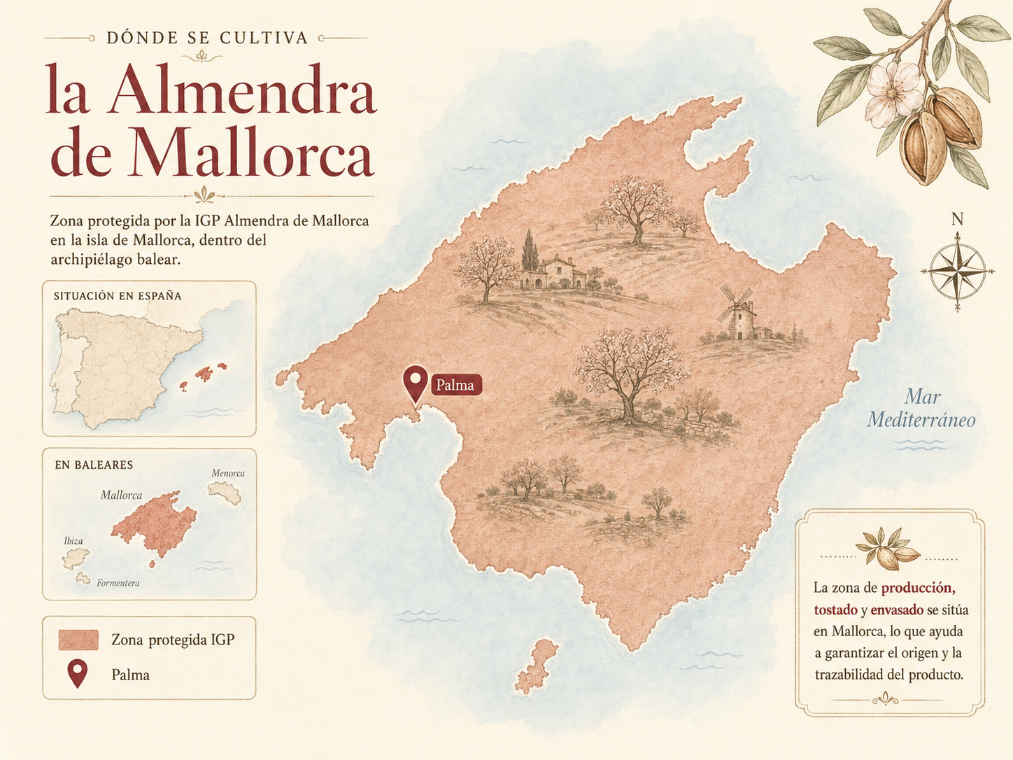 La zona de producción de la IGP Almendra de Mallorca comprende toda la isla.