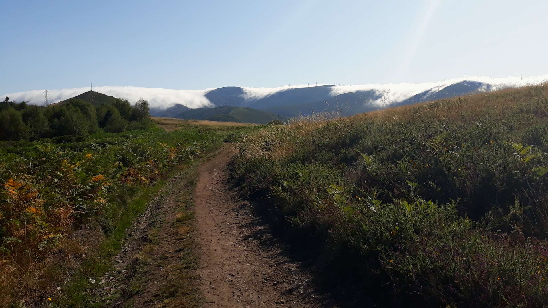 Camino de montaña en la sierra del Palo, uno de los paisajes más duros y solitarios del Camino Primitivo. | Simon Burchell, Wikimedia
