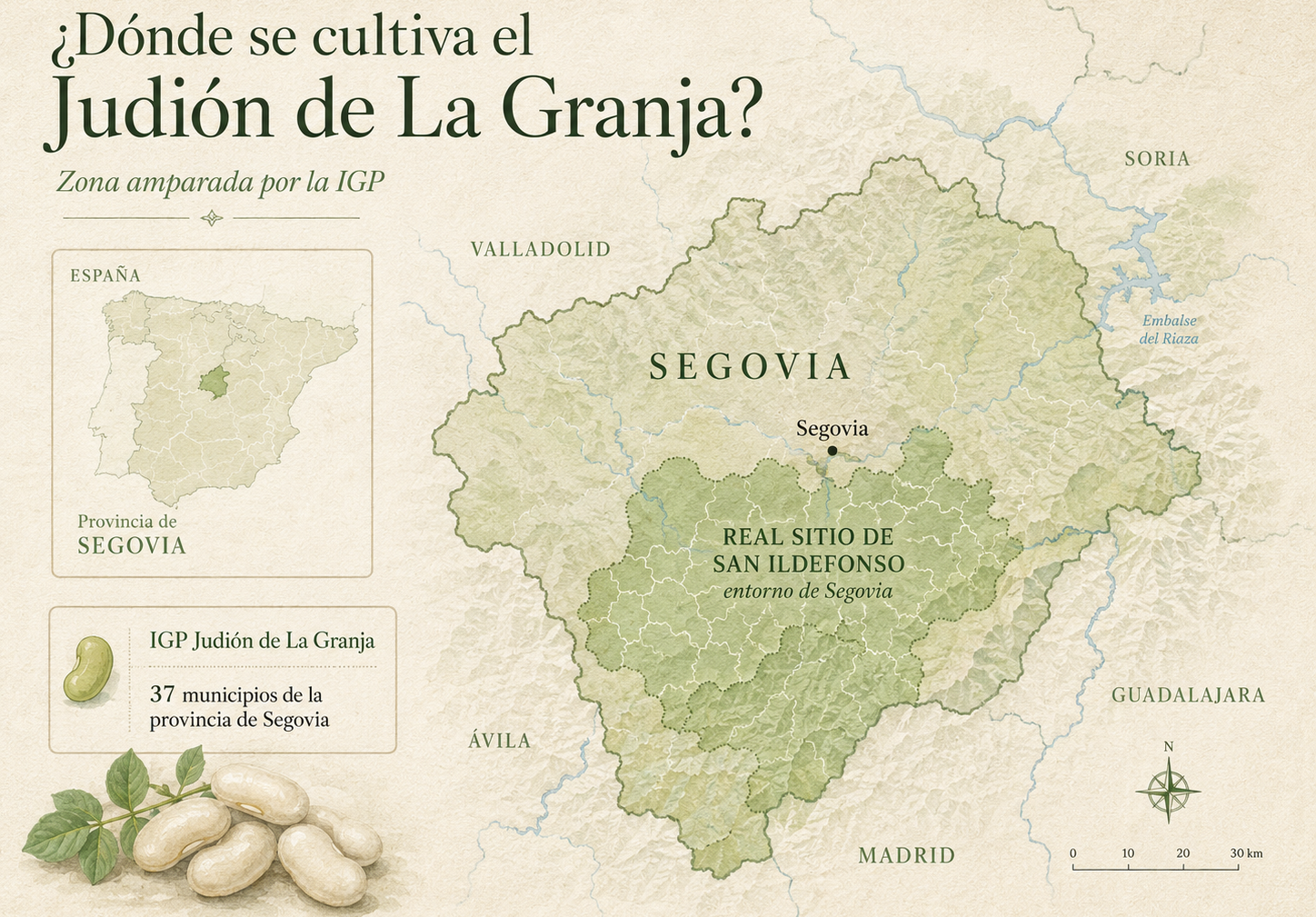 Mapa ilustrativo de la zona de producción amparada por la IGP Judión de La Granja, distribuida entre 37 municipios de la provincia de Segovia. | IA