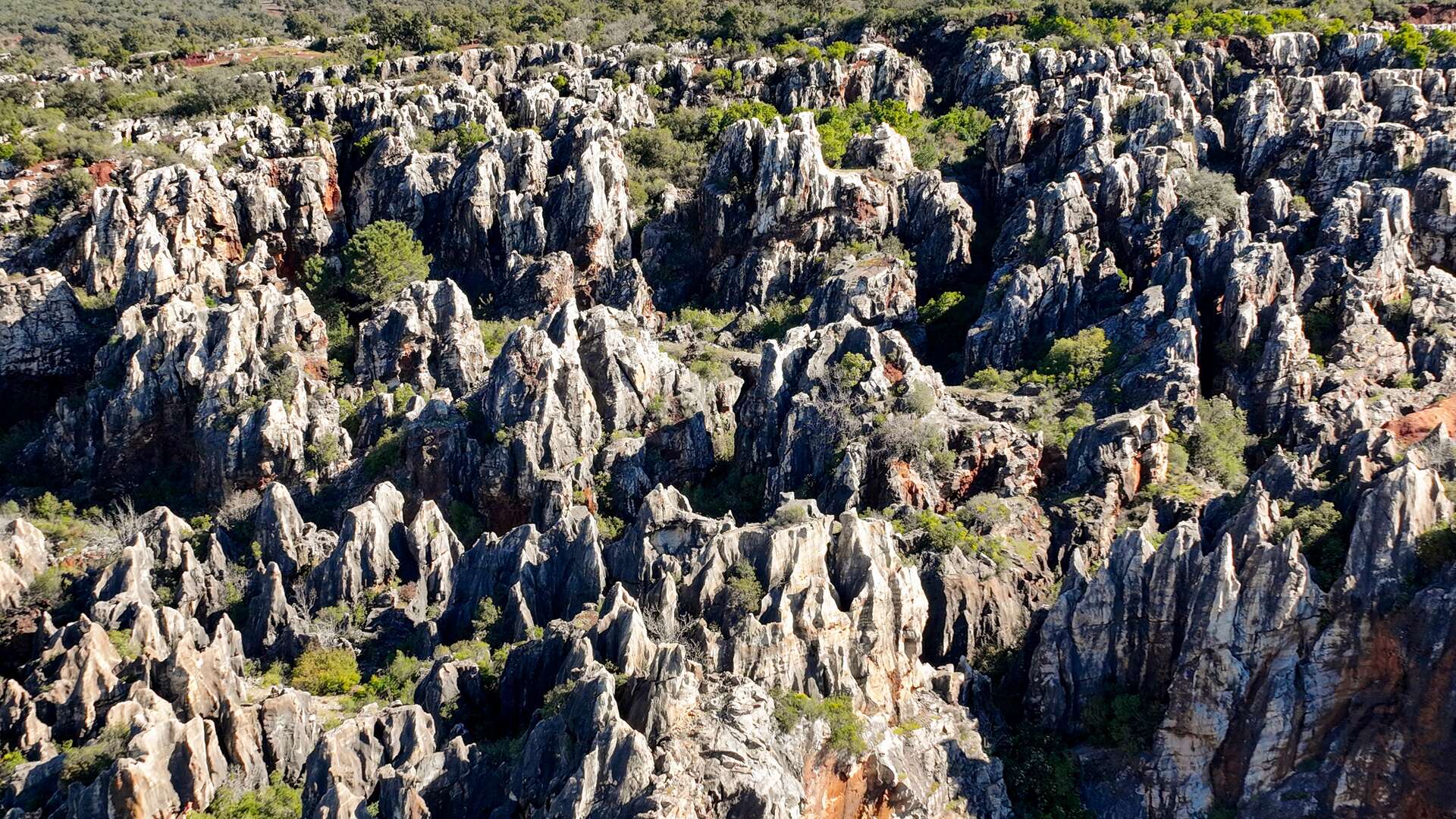 Parque Natural Sierra Morena de Sevilla. | Shutterstock