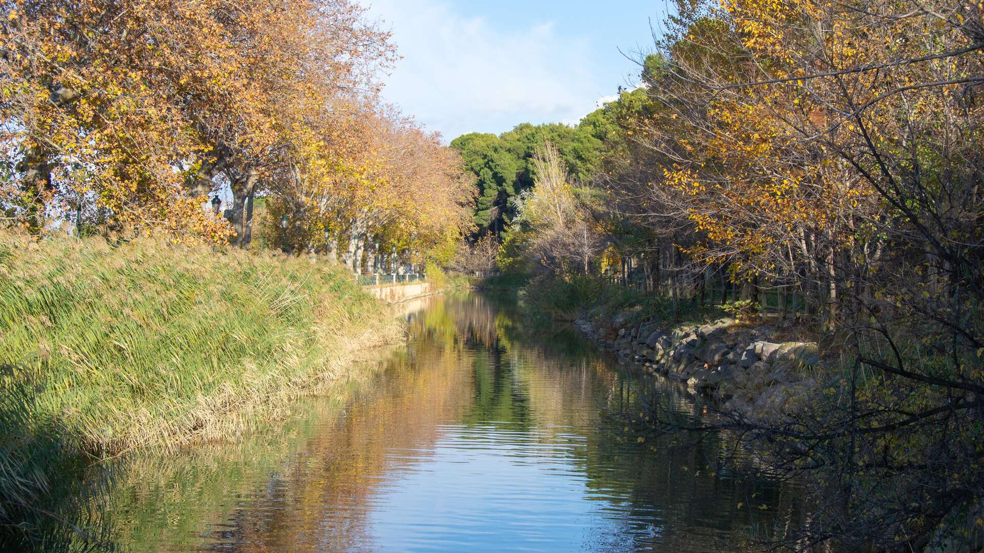 Paisaje del Canal Imperial de Aragón. | Shutterstock