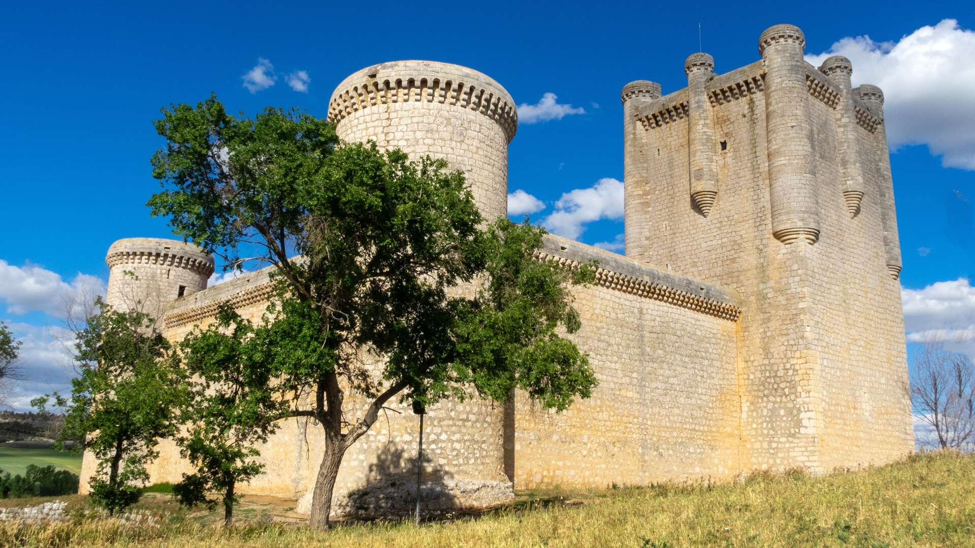 Castillo de Torrelobatón. | Shutterstock