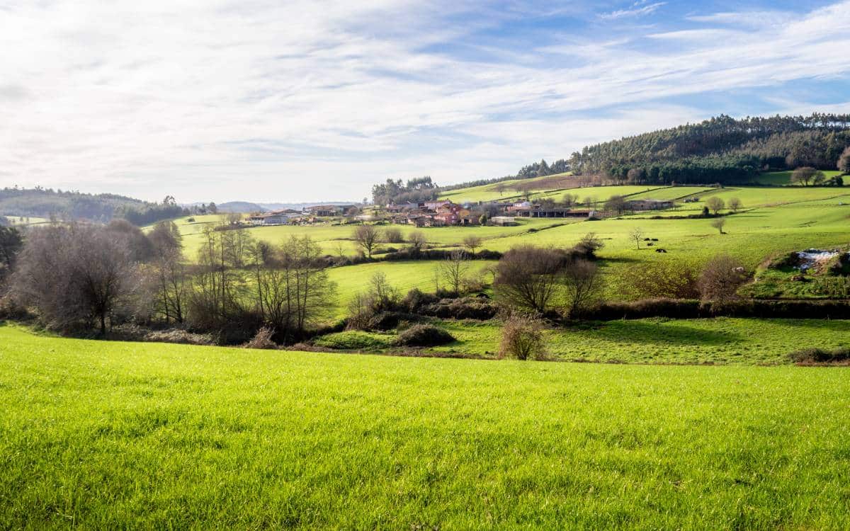 Verdes paisajes en la etapa que conduce hasta Arzúa