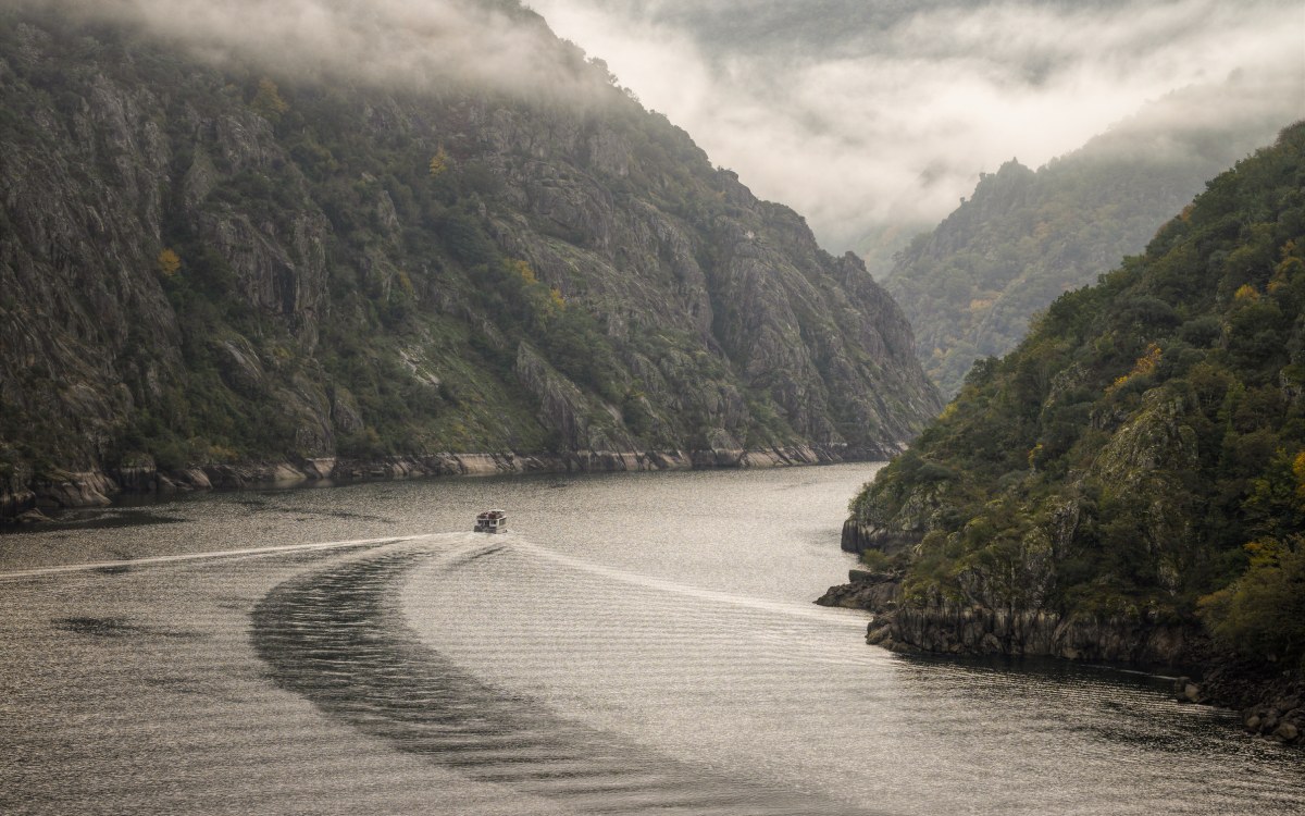 Barco entre los cañones de la Ribeira Sacra