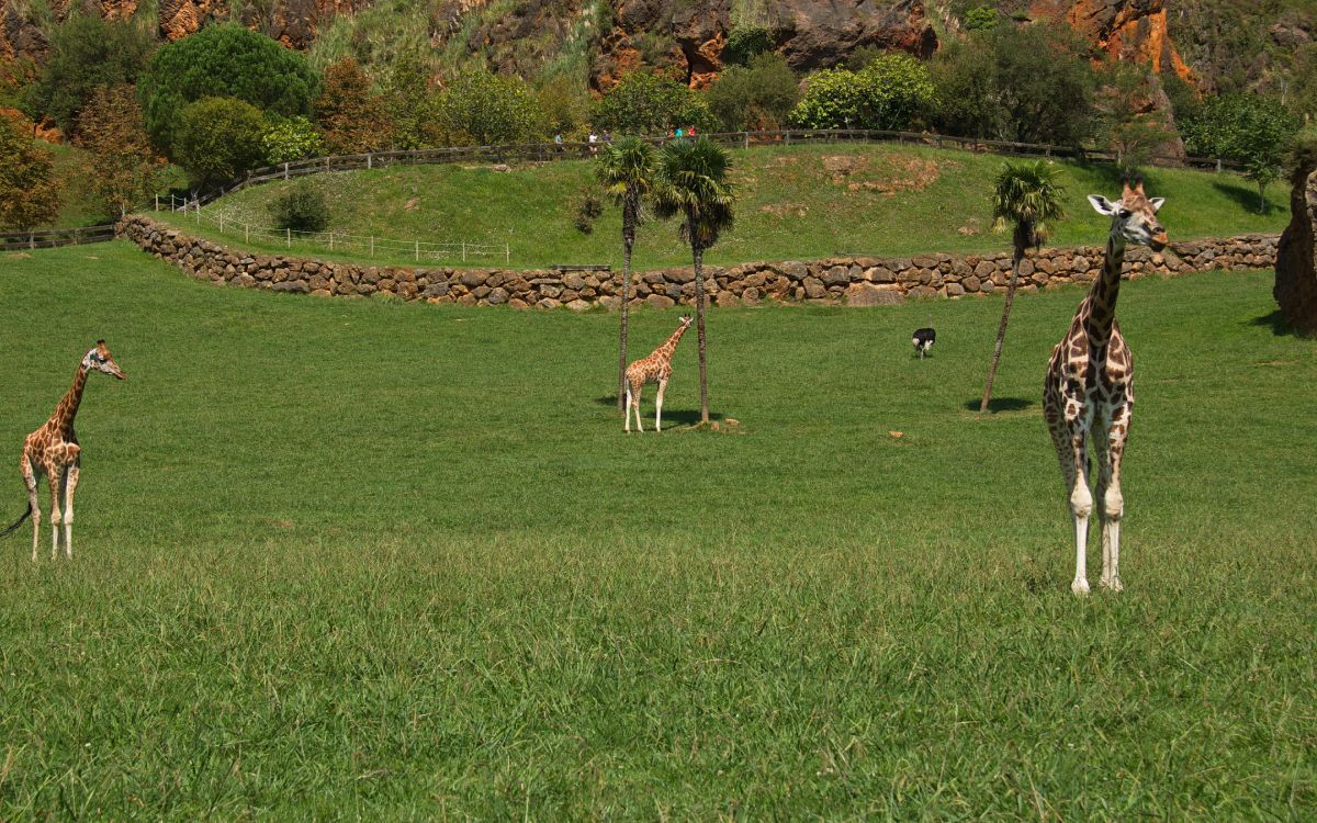 Parque Natural de Cabárceno