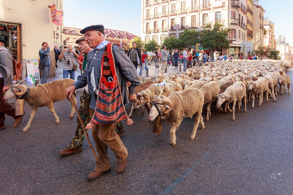 Fiesta de la Trashumancia en Madrid