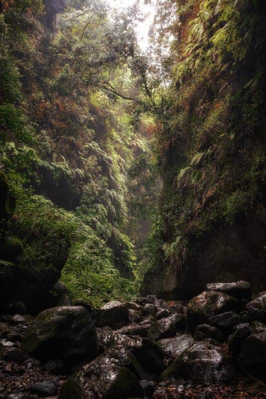 El 'Amazonas' de La Palma