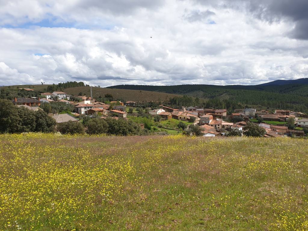 Latedo, municipio de Trabazos