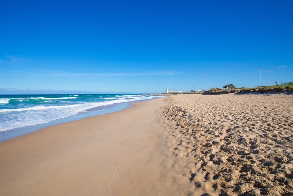 Playa de El Palmar
