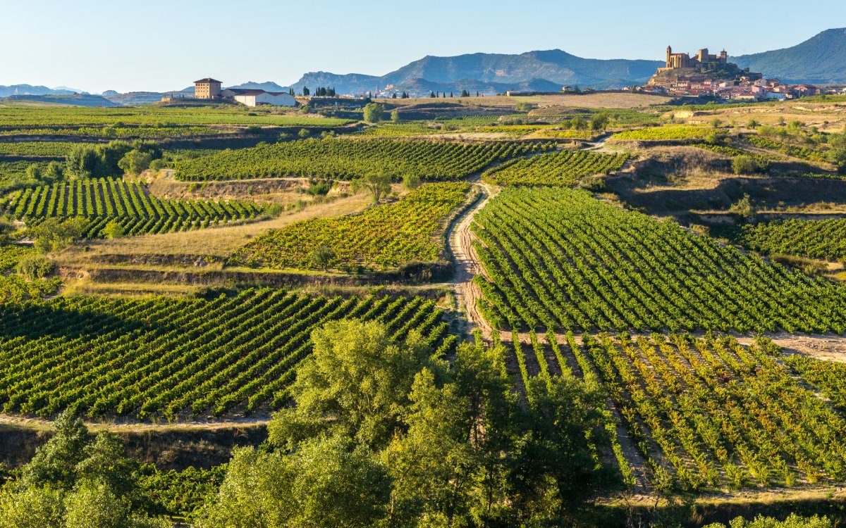 Postal de La Rioja, con San Vicente de la Sonsierra de fondo