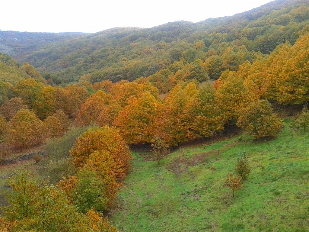 Valle del Jerte​​