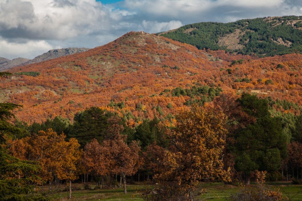 Valle del Lozoya