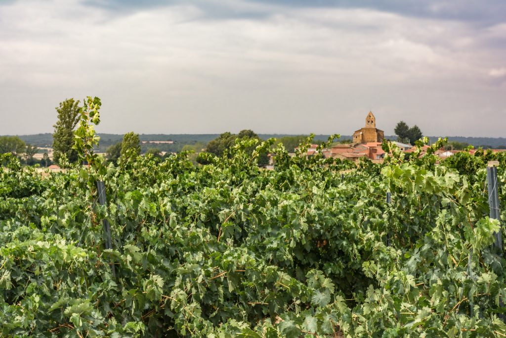 San Pedro de las Viñas